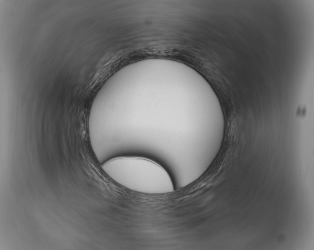 X0000111171202200907010959