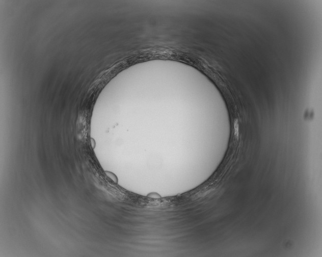 X0000111171203200907010959
