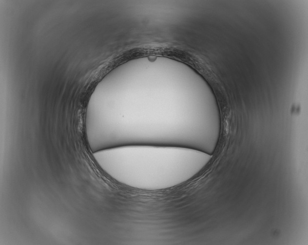 X0000111171204200907010959