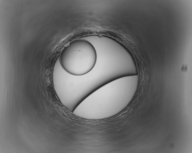 X0000111171205200907010959