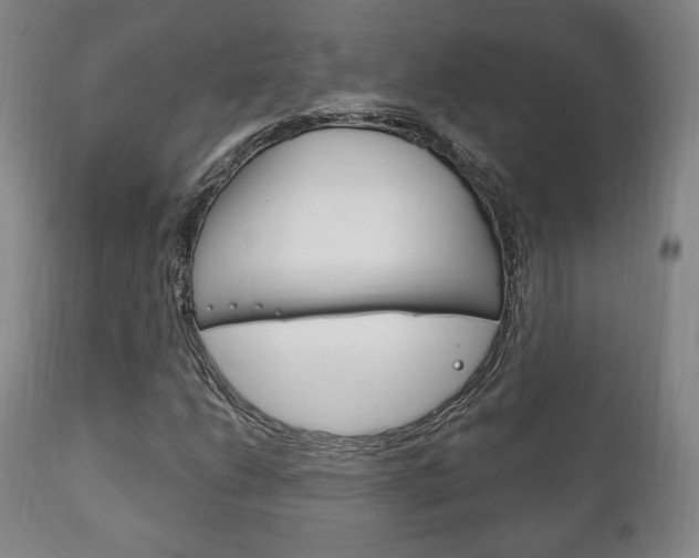 X0000111171206200907010959