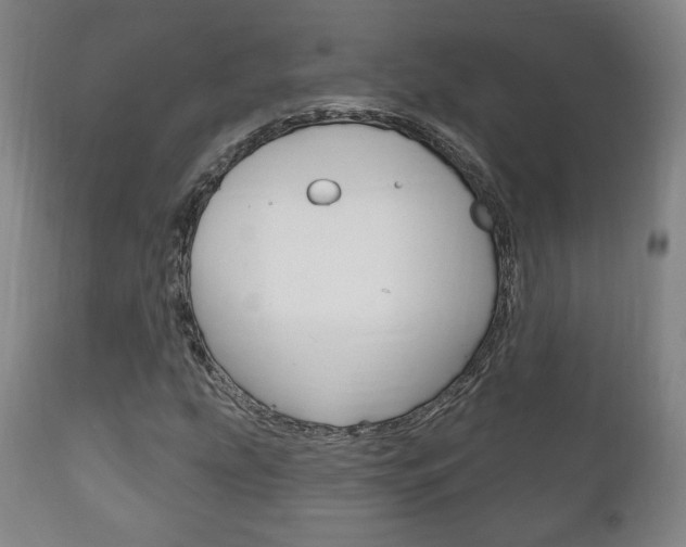 X0000111171207200907010959