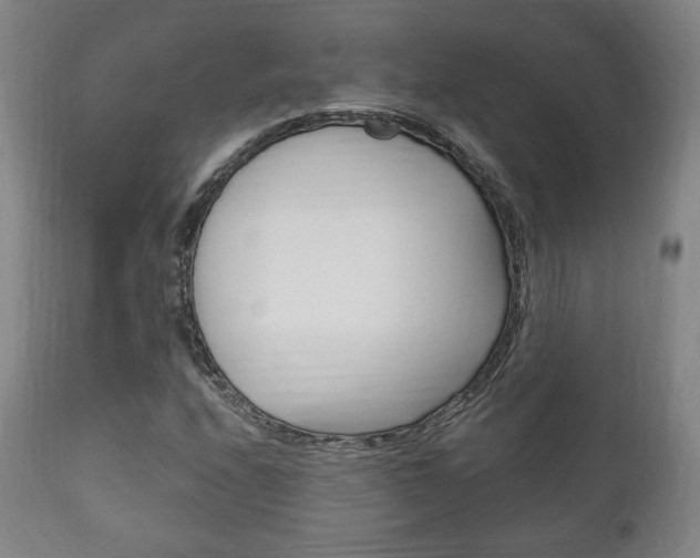 X0000111171208200907010959