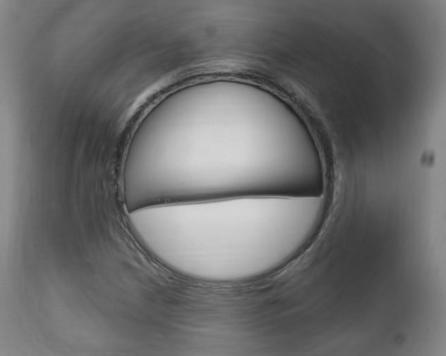 X0000111171210200907010959