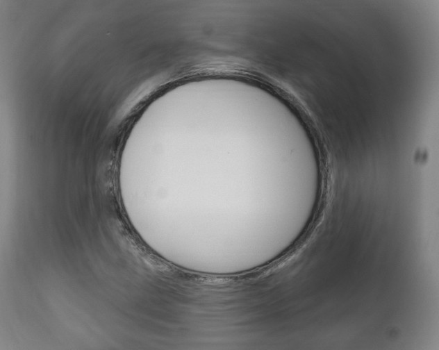 X0000111171211200907010959