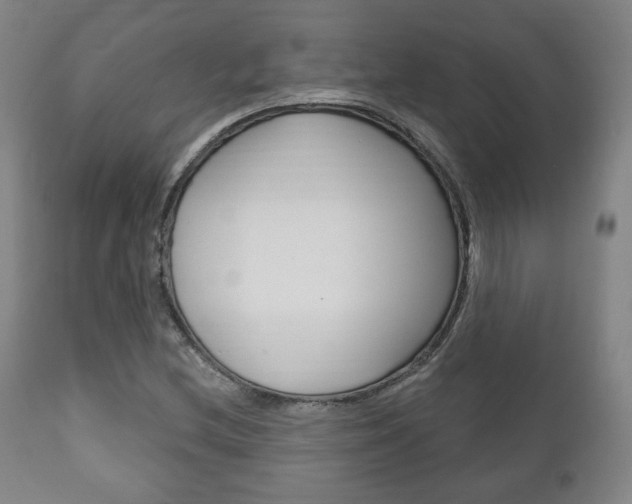 X0000111171212200907010959