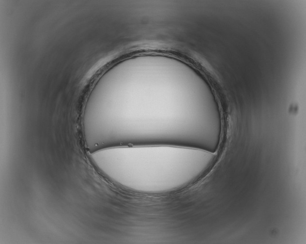 X0000111171213200907010959