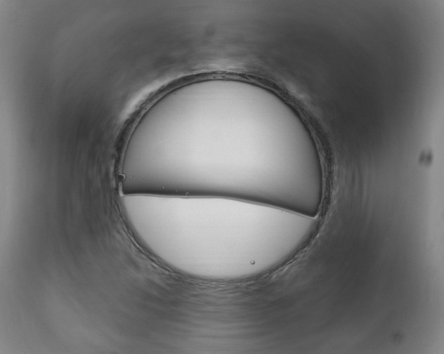 X0000111171214200907010959