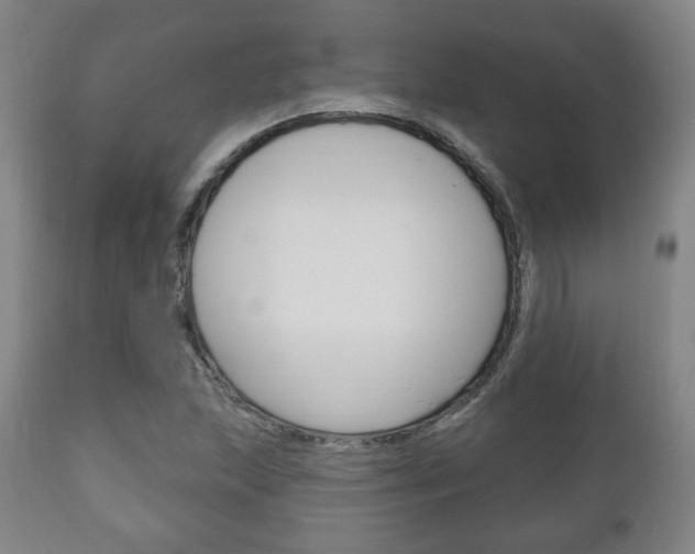 X0000111171215200907010959