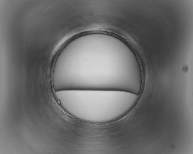 X0000111171216200907010959