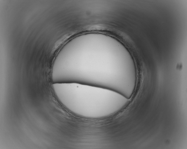 X0000111171217200907010959