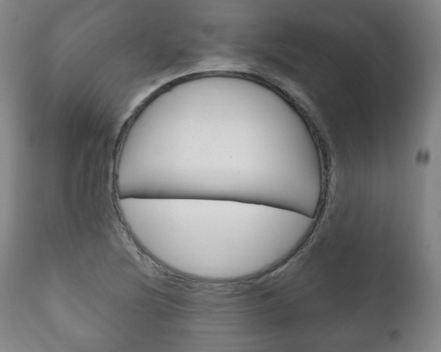 X0000111171220200907010959