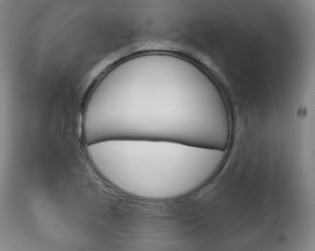 X0000111171221200907010959
