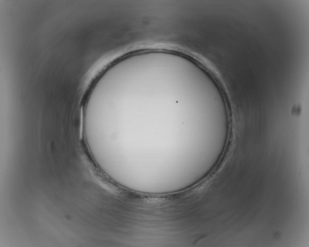 X0000111171223200907010959