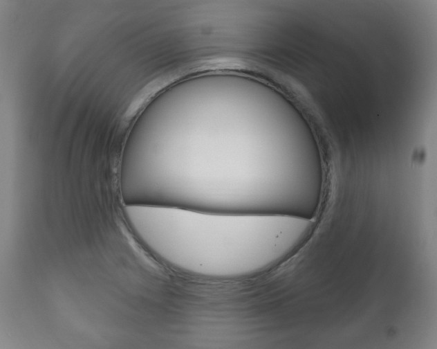 X0000111171225200907011000