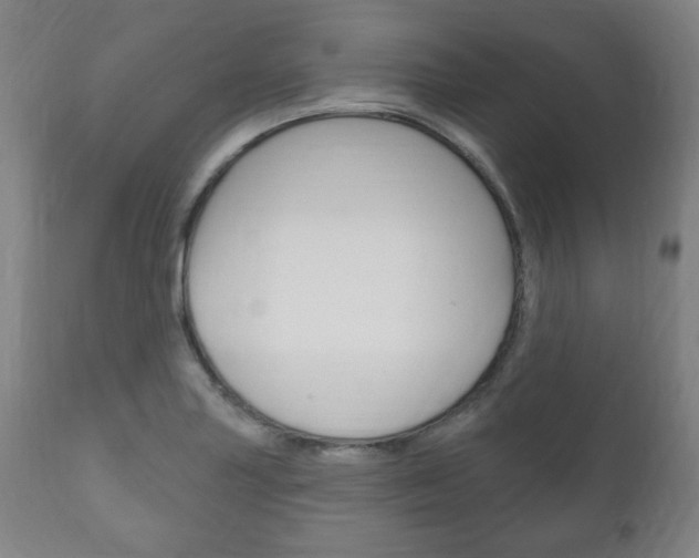 X0000111171227200907011000
