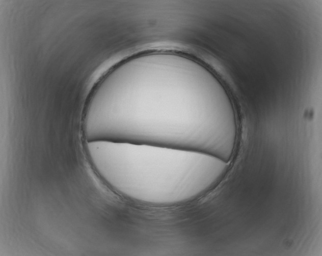 X0000111171229200907011000