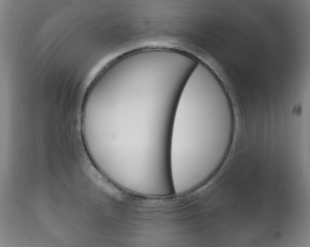 X0000111171232200907011000