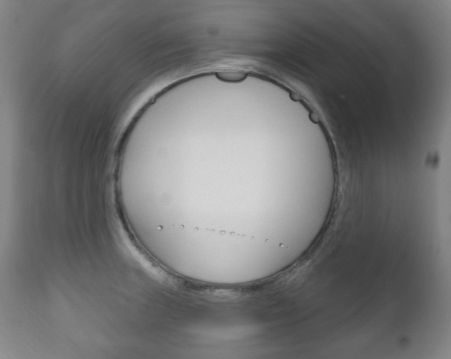 X0000111171235200907011000