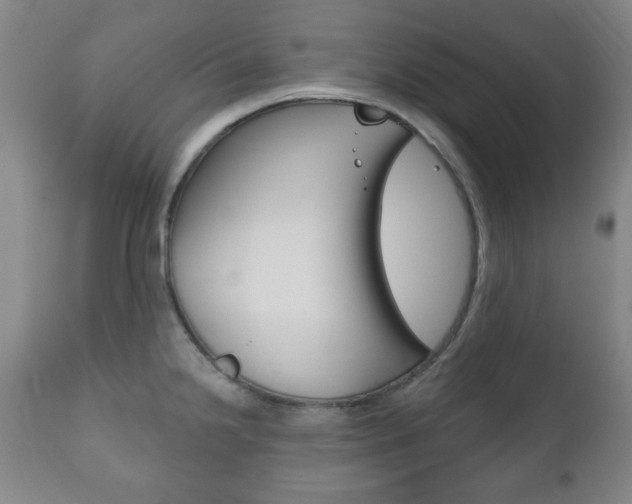 X0000111171238200907011000