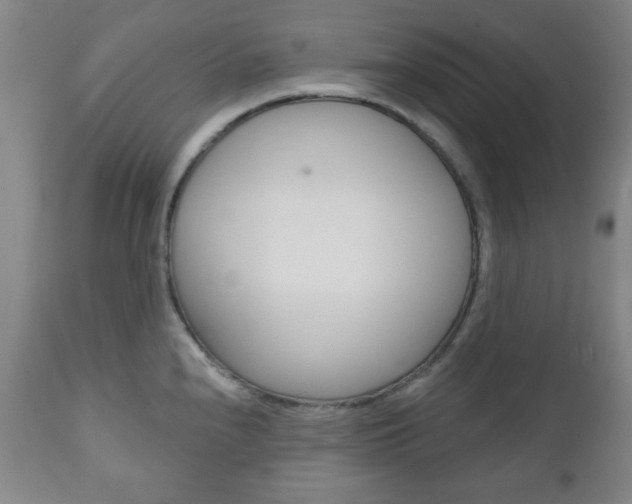 X0000111171240200907011000