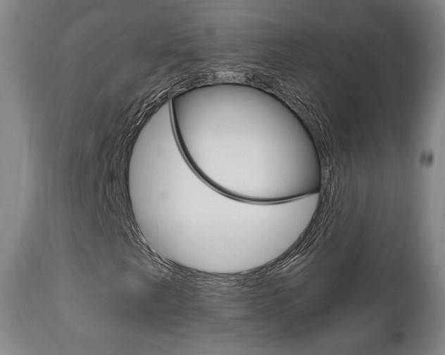X0000111171249200907010959