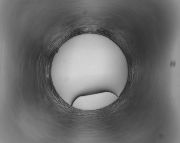 X0000111171250200907010959