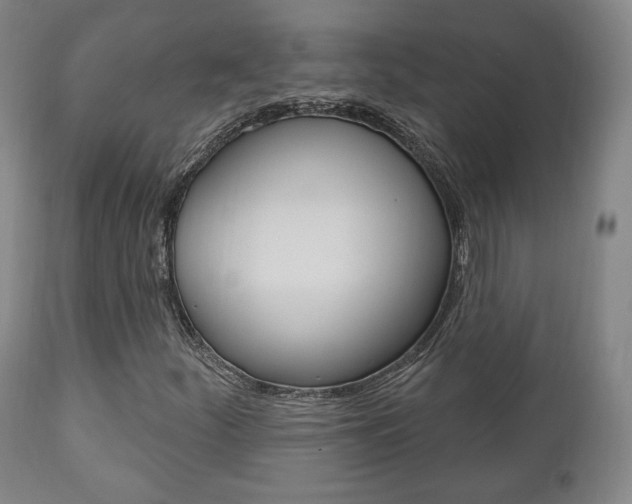 X0000111171252200907010959