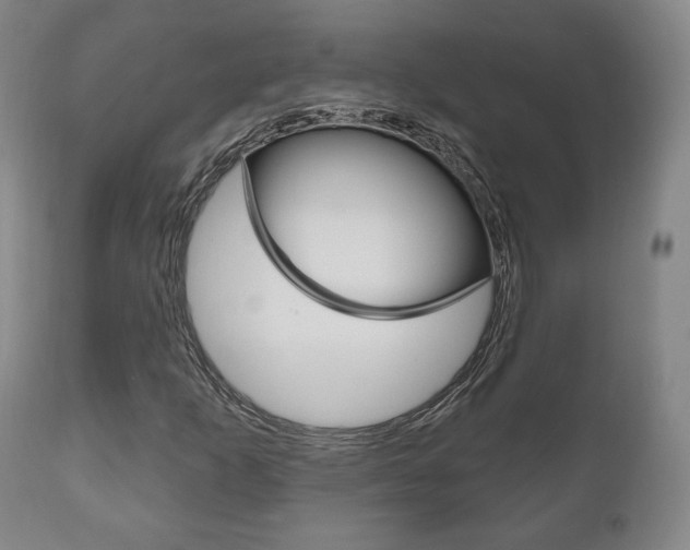 X0000111171253200907010959