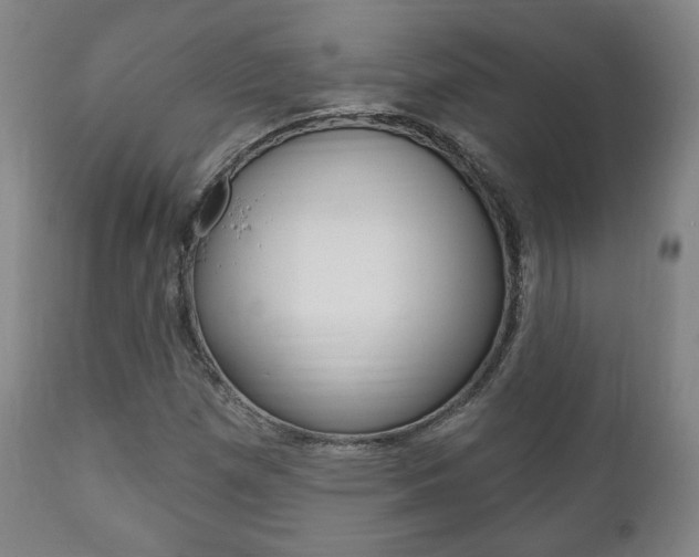 X0000111171257200907010959