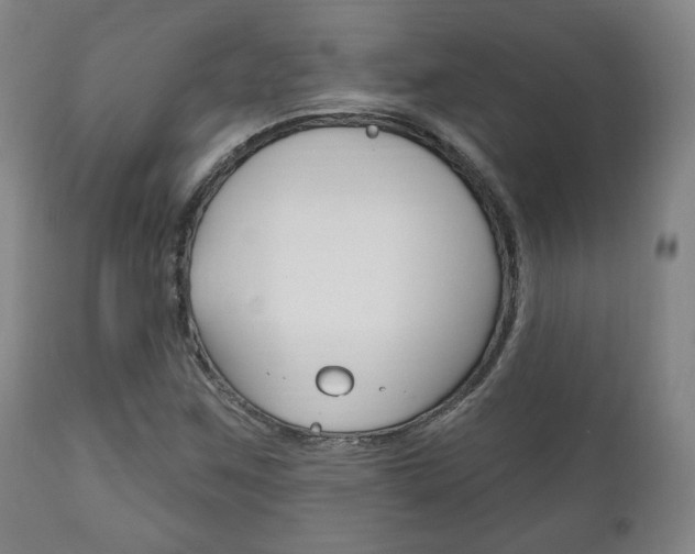 X0000111171259200907010959
