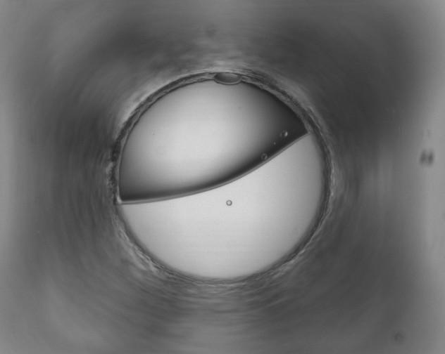 X0000111171260200907010959