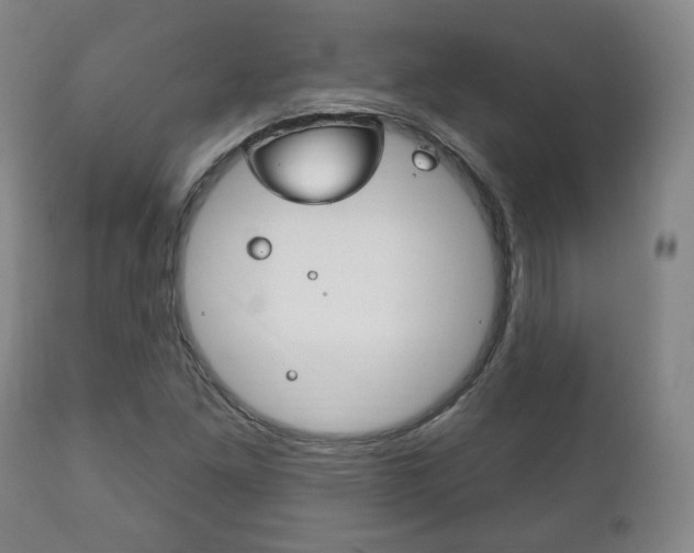 X0000111171261200907010959