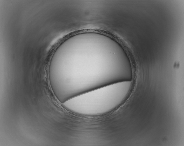 X0000111171262200907010959