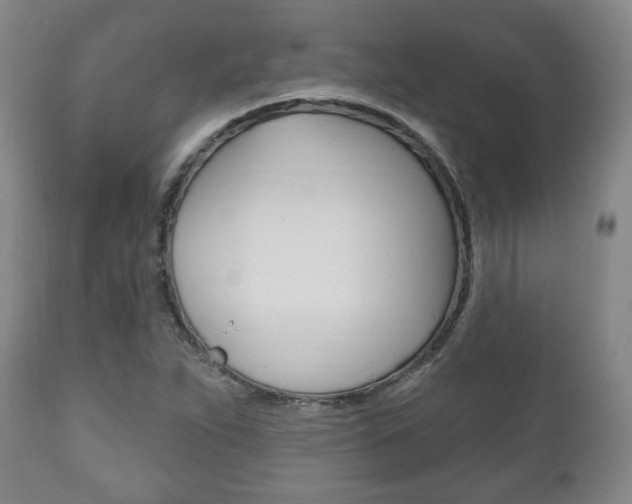 X0000111171263200907010959