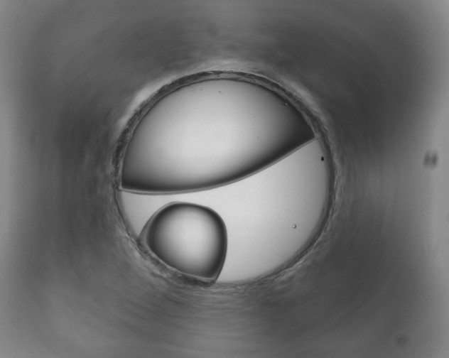 X0000111171264200907010959