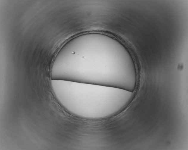 X0000111171265200907010959