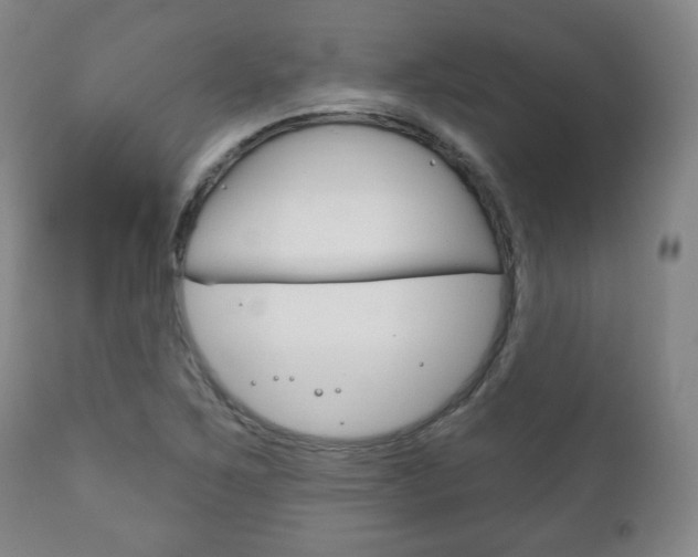 X0000111171267200907010959