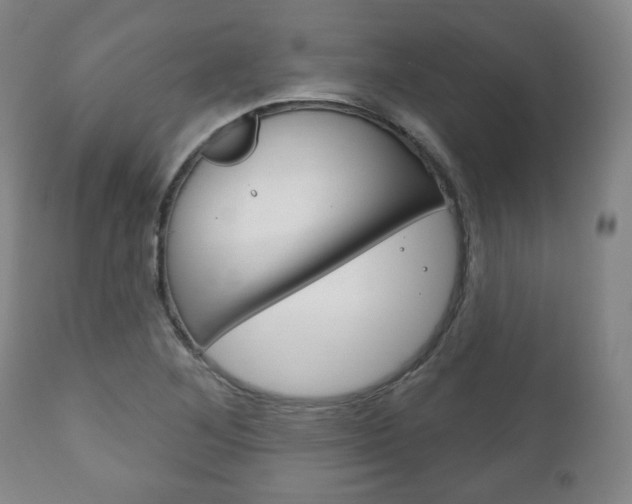 X0000111171268200907010959