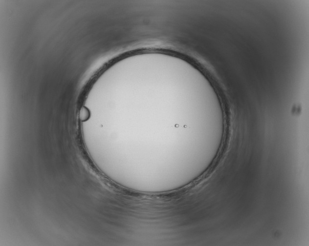 X0000111171270200907010959