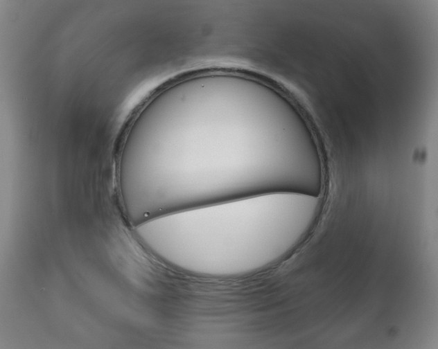 X0000111171271200907010959