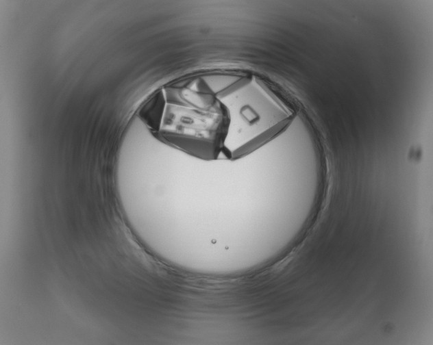 X0000111171273200907010959