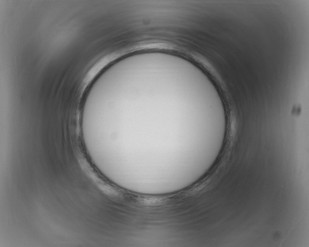 X0000111171274200907010959