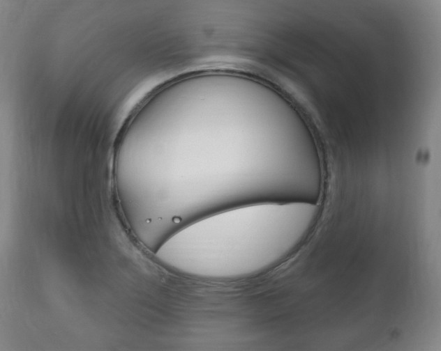 X0000111171275200907010959