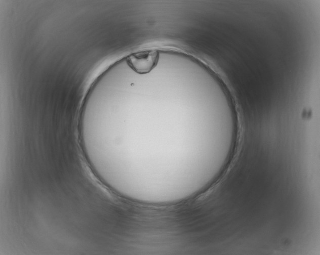 X0000111171277200907010959