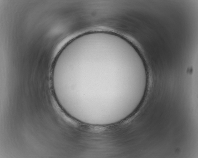 X0000111171278200907010959