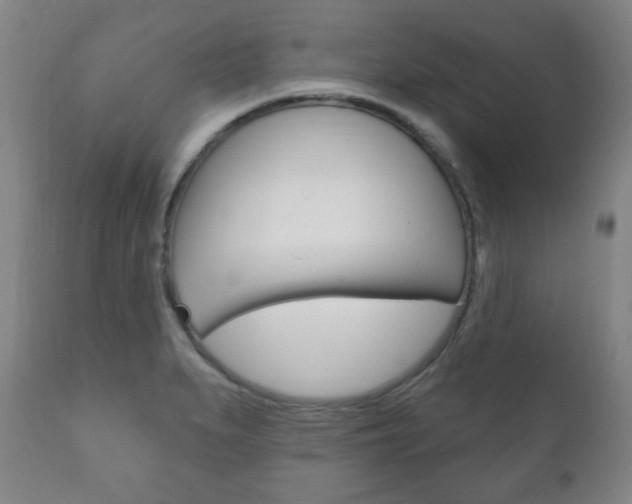 X0000111171279200907010959