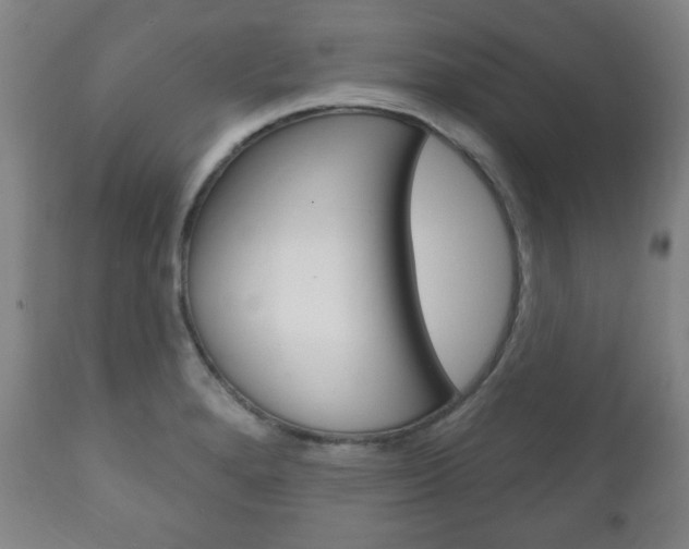 X0000111171280200907010959