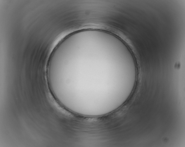 X0000111171283200907010959