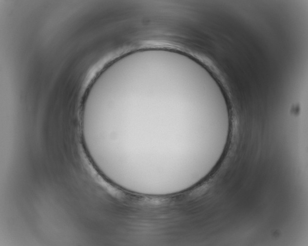 X0000111171286200907010959